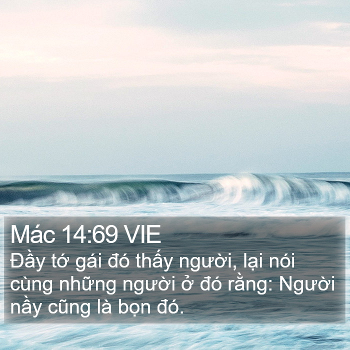 Mác 14:69 VIE Bible Study