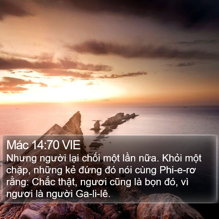 Mác 14:70 VIE Bible Study