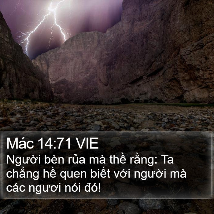 Mác 14:71 VIE Bible Study