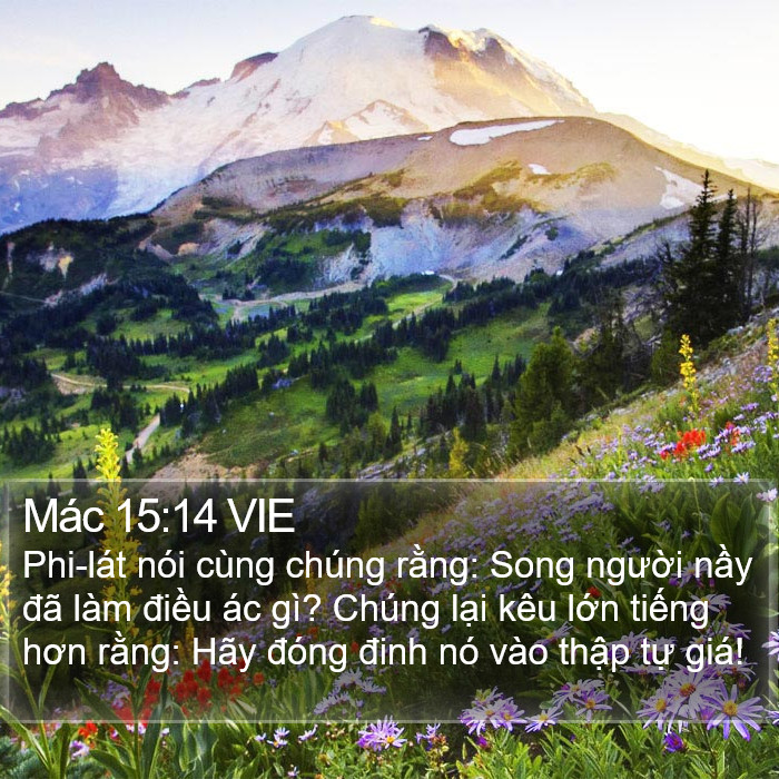 Mác 15:14 VIE Bible Study