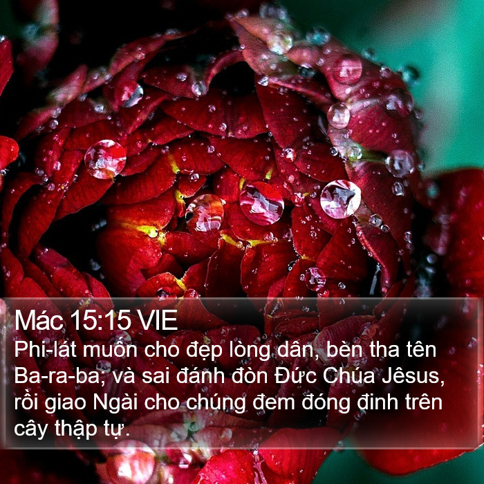 Mác 15:15 VIE Bible Study