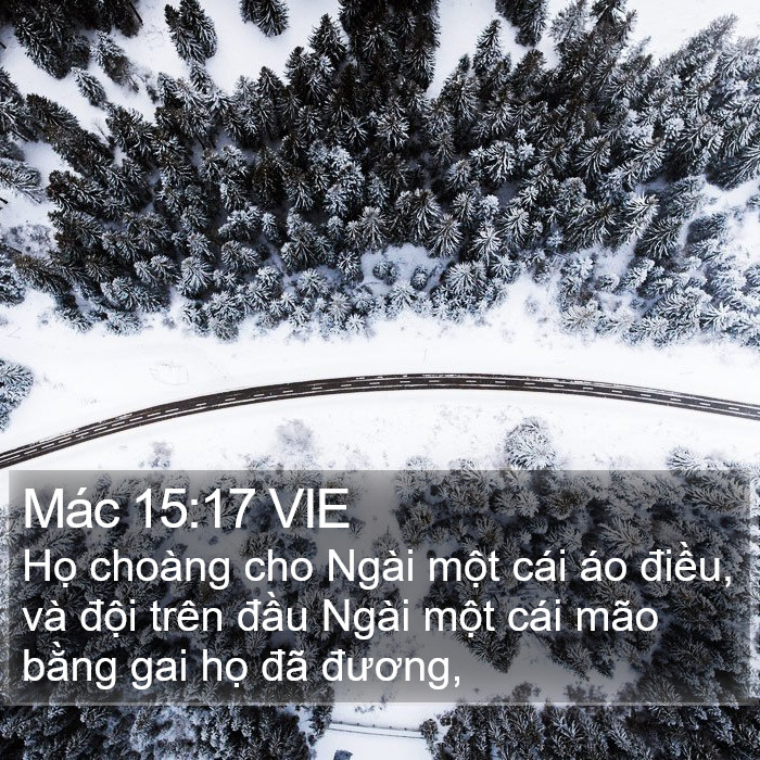 Mác 15:17 VIE Bible Study