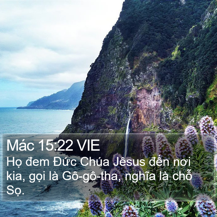 Mác 15:22 VIE Bible Study