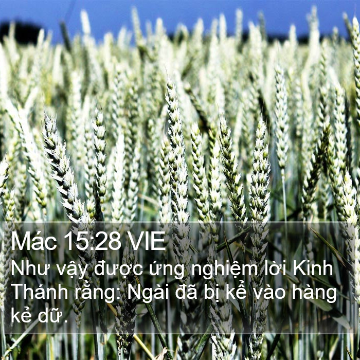 Mác 15:28 VIE Bible Study