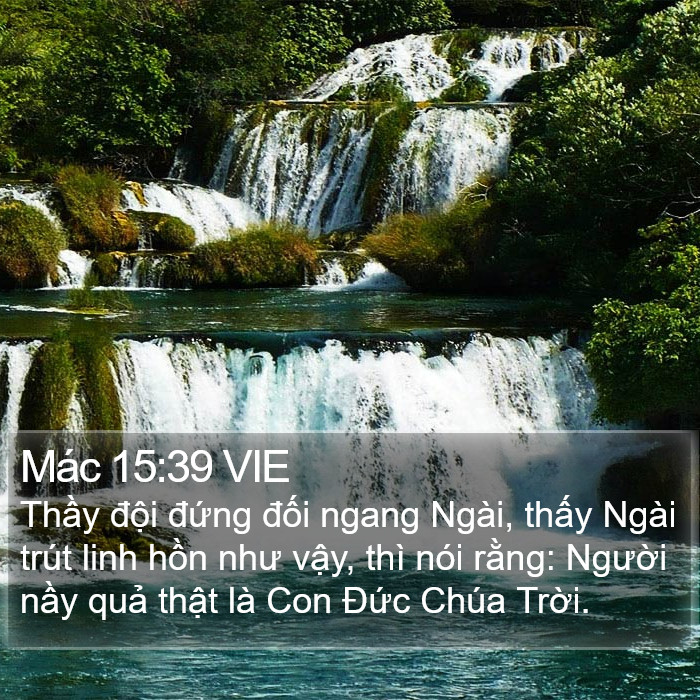 Mác 15:39 VIE Bible Study
