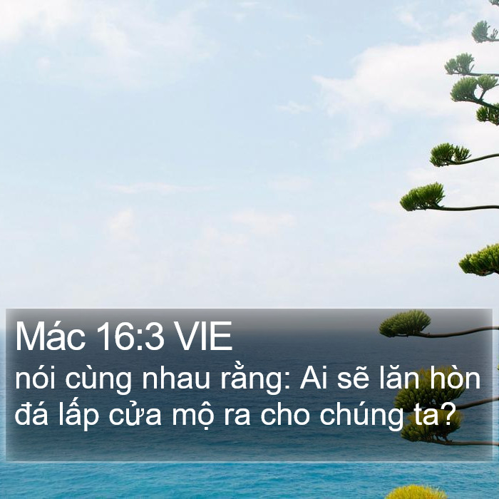 Mác 16:3 VIE Bible Study