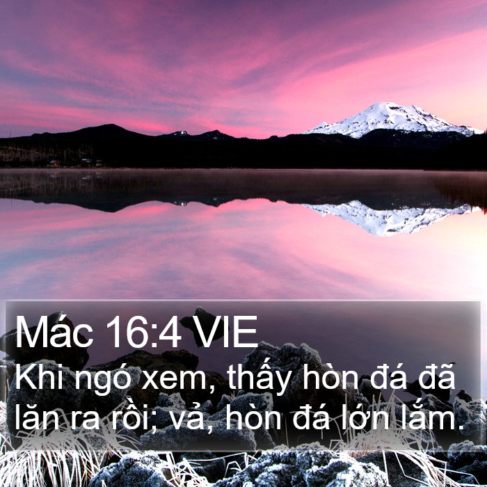 Mác 16:4 VIE Bible Study