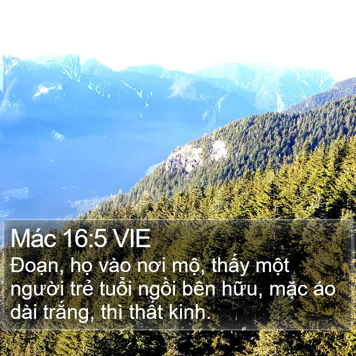 Mác 16:5 VIE Bible Study