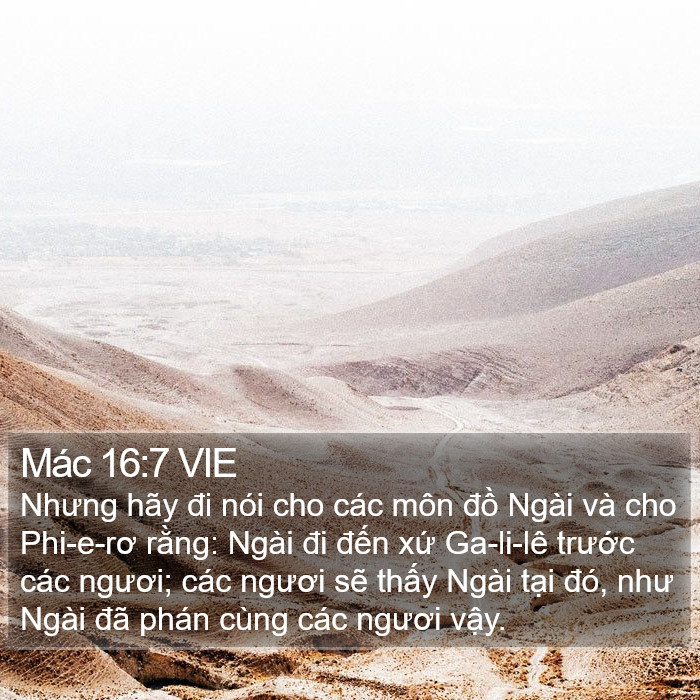 Mác 16:7 VIE Bible Study