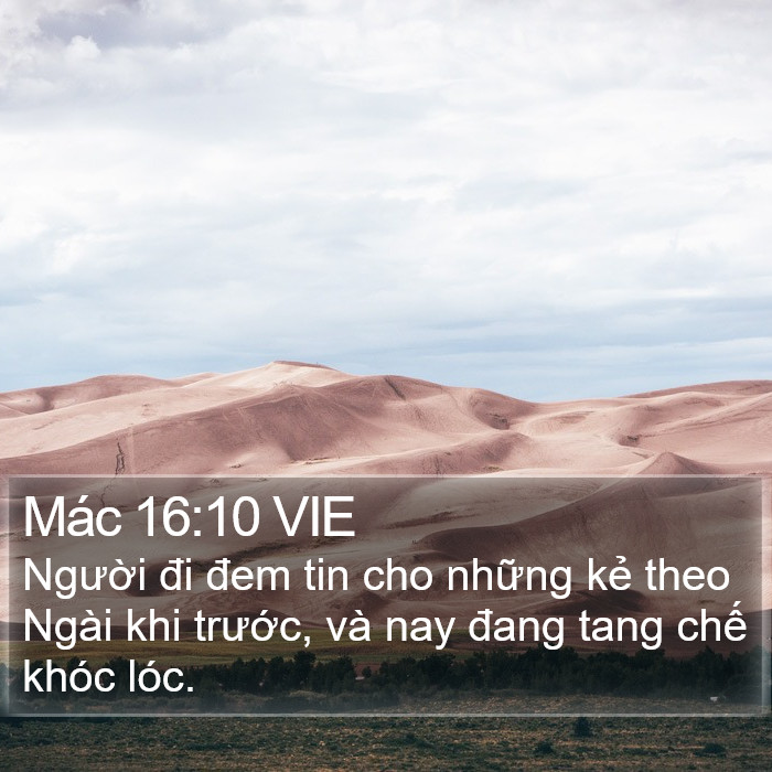 Mác 16:10 VIE Bible Study