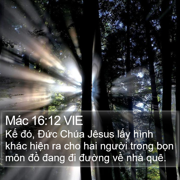 Mác 16:12 VIE Bible Study