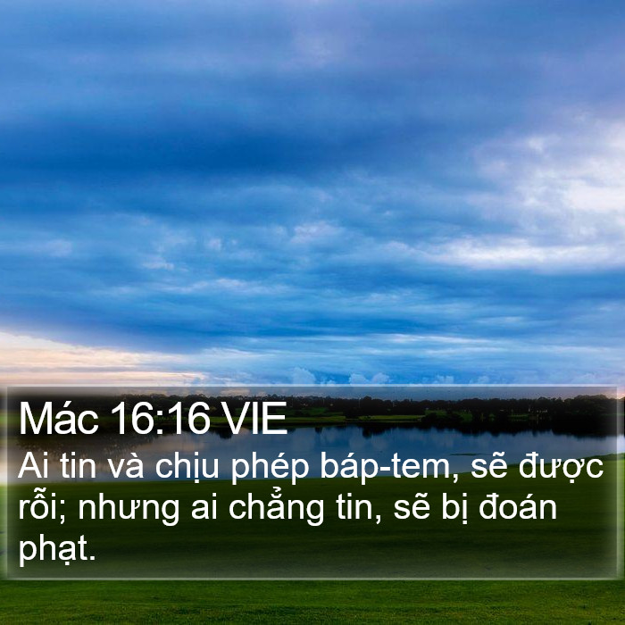 Mác 16:16 VIE Bible Study