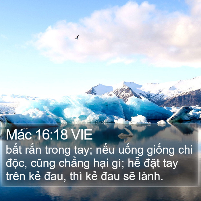 Mác 16:18 VIE Bible Study