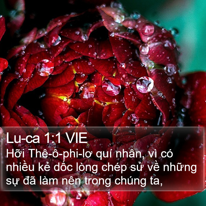 Lu-ca 1:1 VIE Bible Study