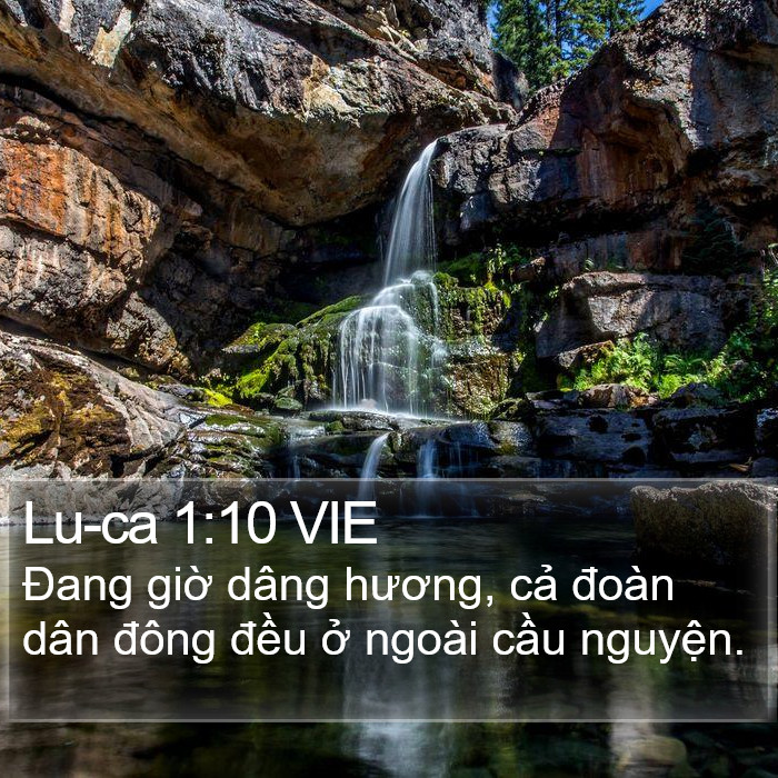 Lu-ca 1:10 VIE Bible Study