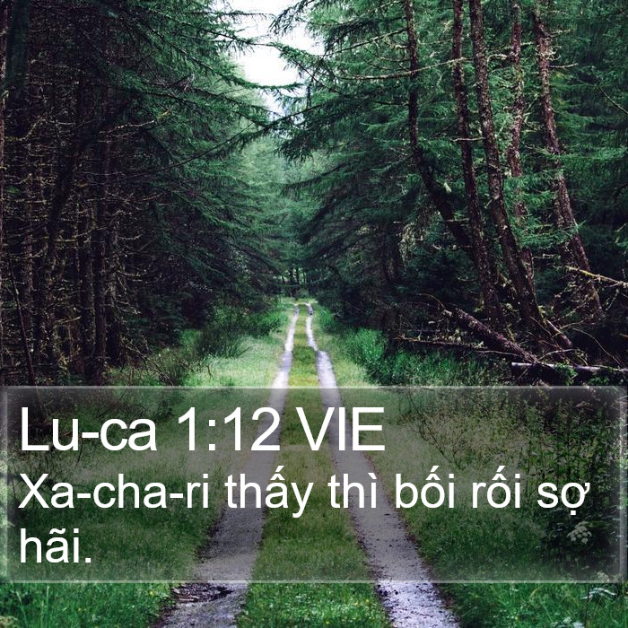 Lu-ca 1:12 VIE Bible Study