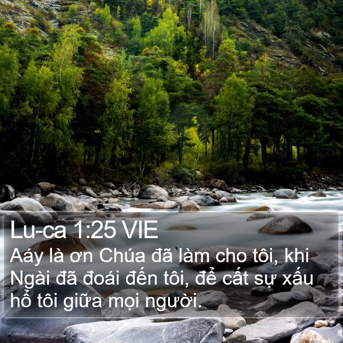 Lu-ca 1:25 VIE Bible Study