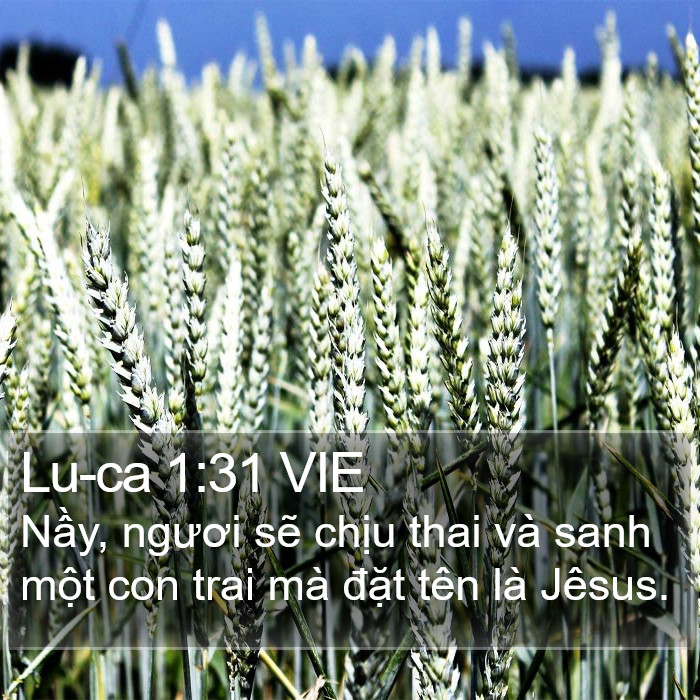 Lu-ca 1:31 VIE Bible Study