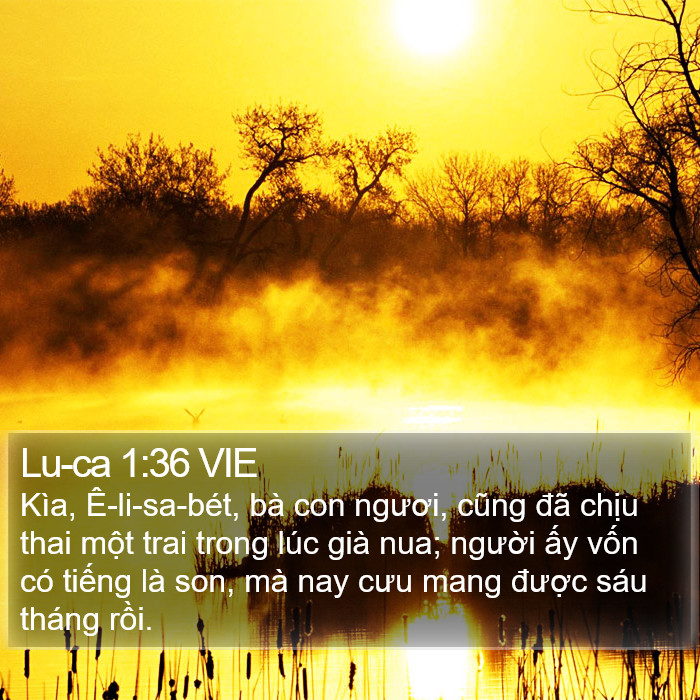 Lu-ca 1:36 VIE Bible Study