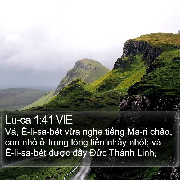 Lu-ca 1:41 VIE Bible Study