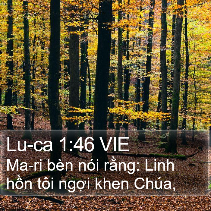 Lu-ca 1:46 VIE Bible Study