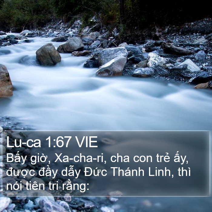 Lu-ca 1:67 VIE Bible Study