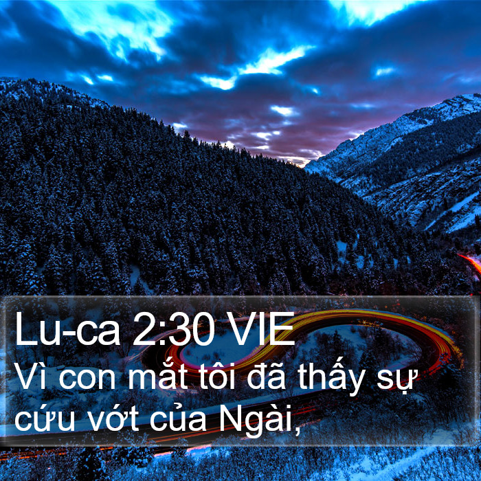 Lu-ca 2:30 VIE Bible Study