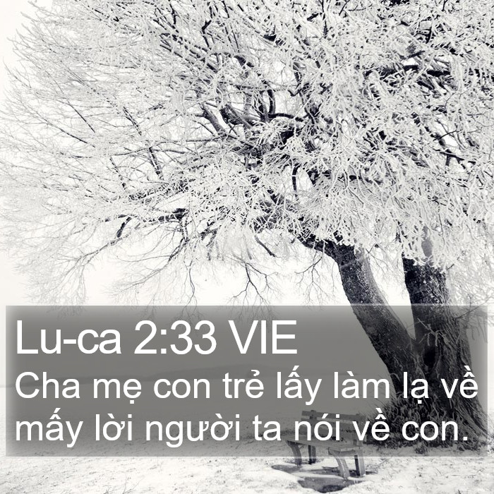 Lu-ca 2:33 VIE Bible Study