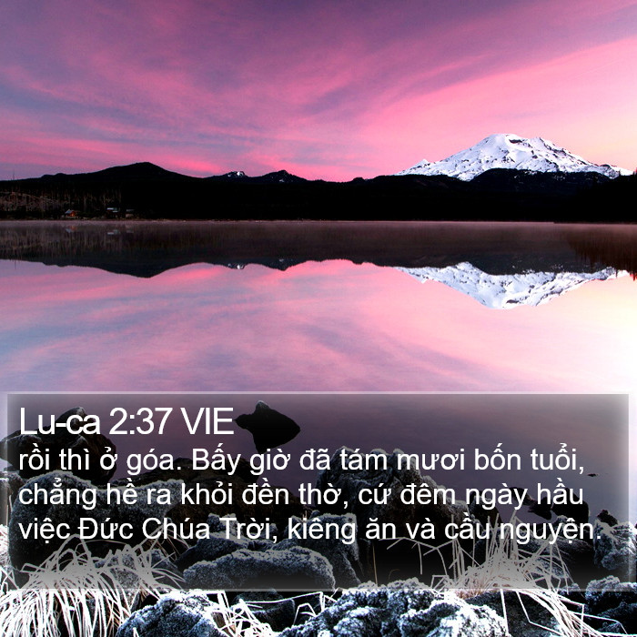 Lu-ca 2:37 VIE Bible Study