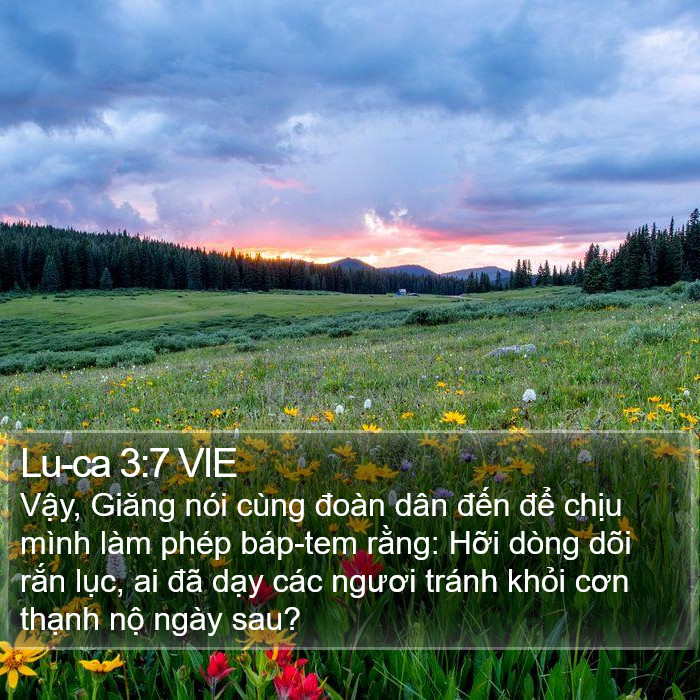 Lu-ca 3:7 VIE Bible Study