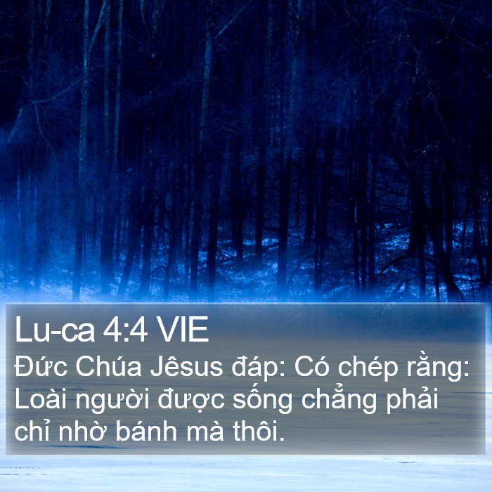 Lu-ca 4:4 VIE Bible Study