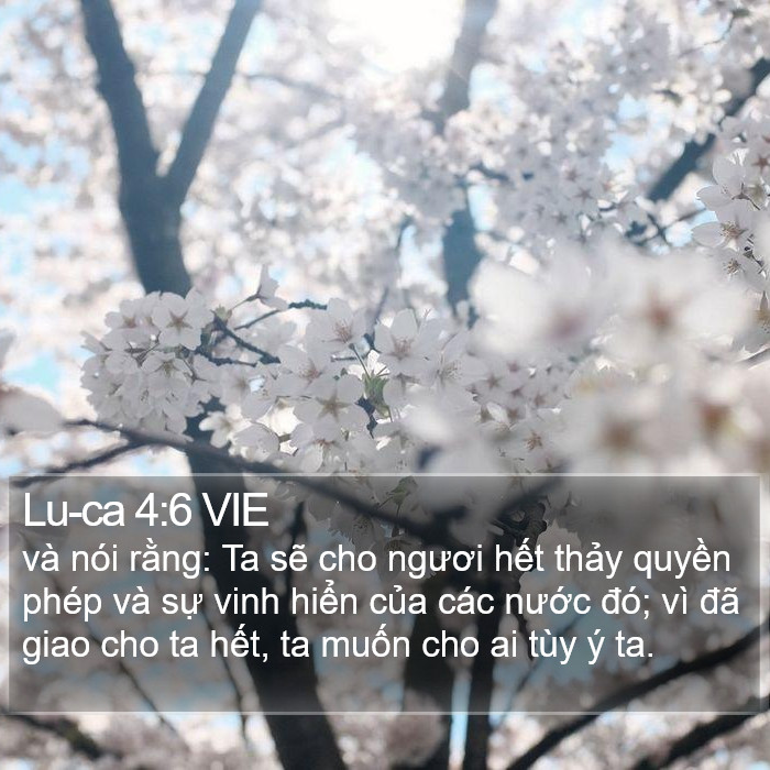 Lu-ca 4:6 VIE Bible Study