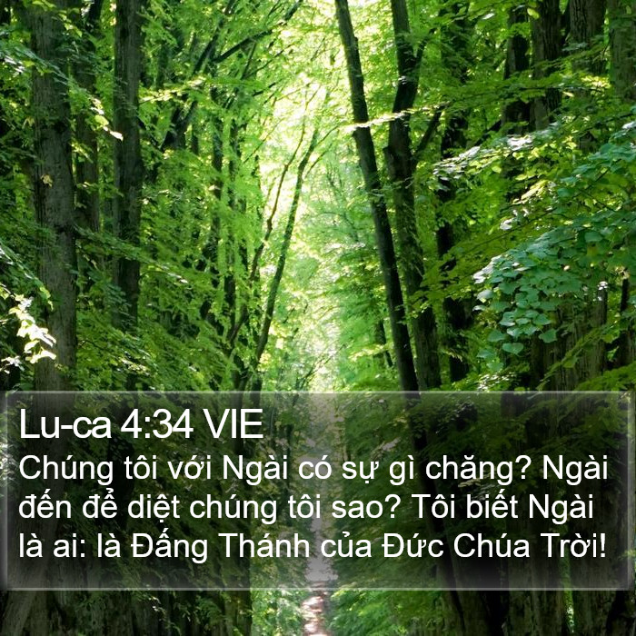 Lu-ca 4:34 VIE Bible Study