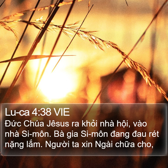 Lu-ca 4:38 VIE Bible Study