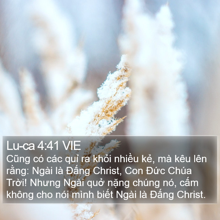 Lu-ca 4:41 VIE Bible Study