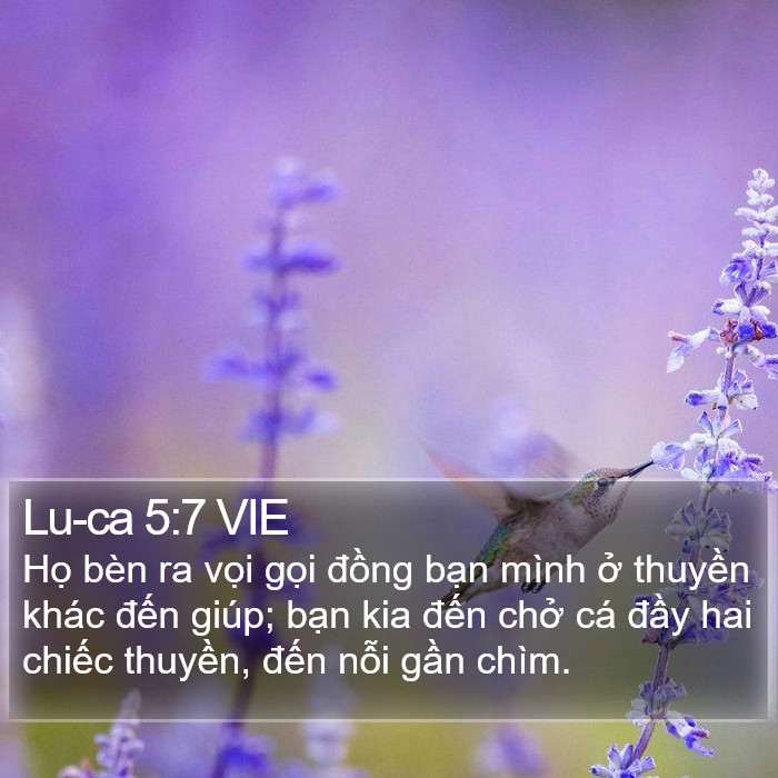 Lu-ca 5:7 VIE Bible Study