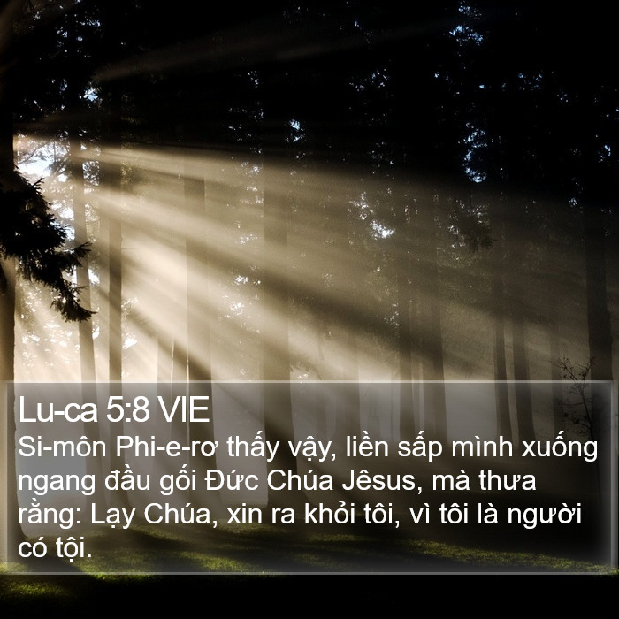Lu-ca 5:8 VIE Bible Study