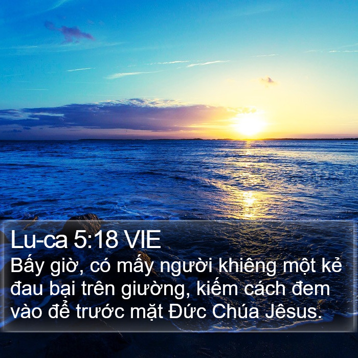 Lu-ca 5:18 VIE Bible Study