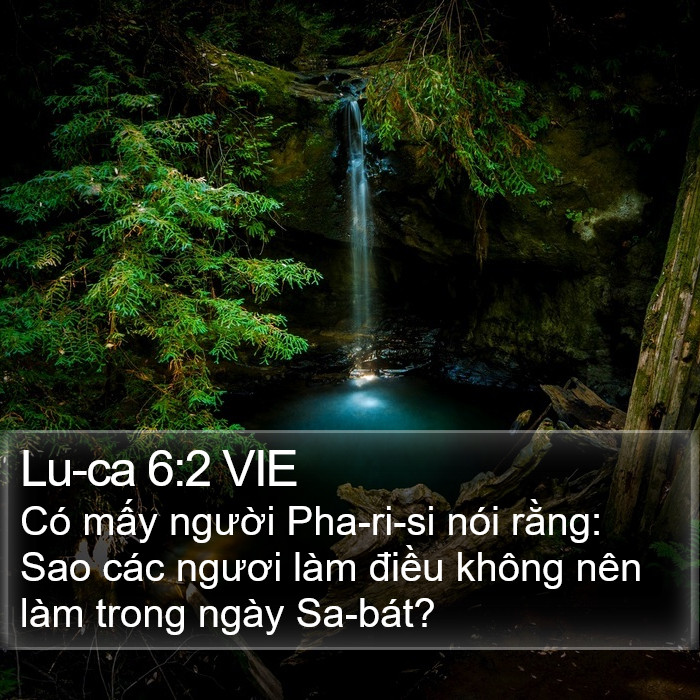 Lu-ca 6:2 VIE Bible Study