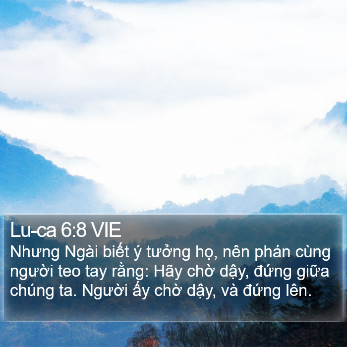 Lu-ca 6:8 VIE Bible Study
