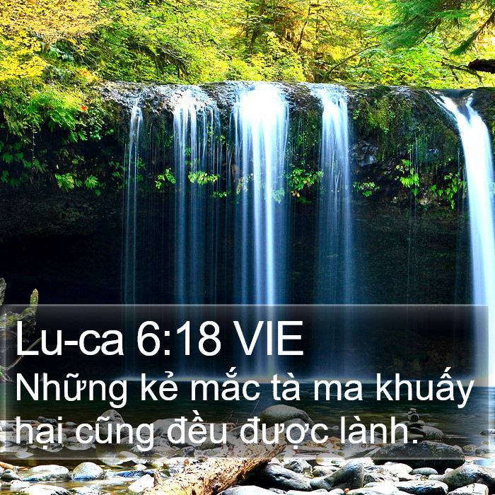 Lu-ca 6:18 VIE Bible Study