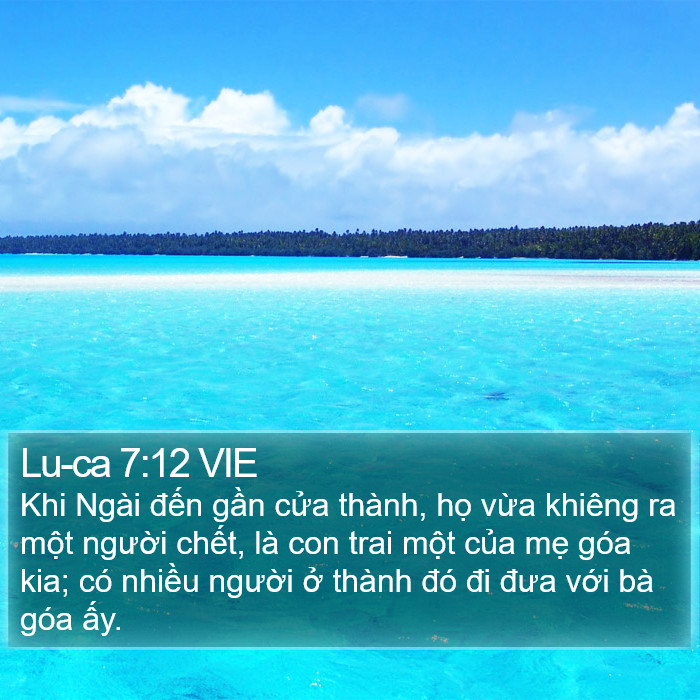 Lu-ca 7:12 VIE Bible Study