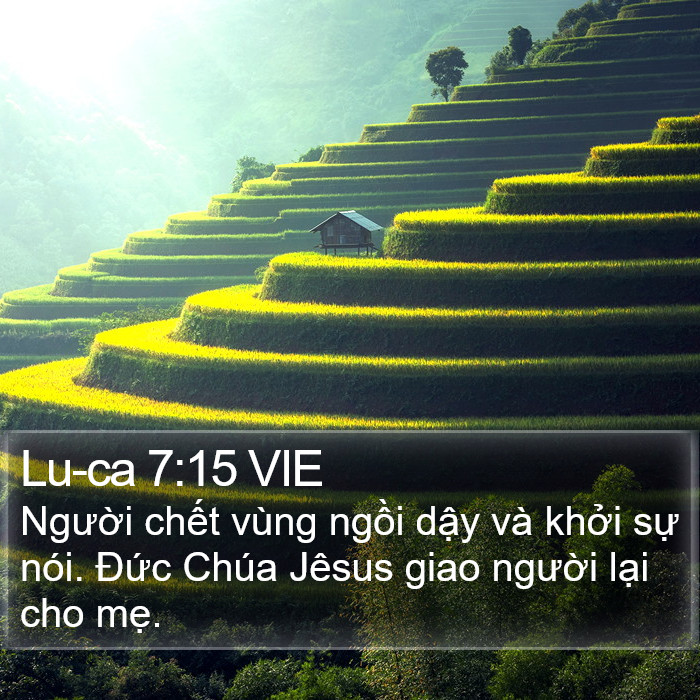 Lu-ca 7:15 VIE Bible Study