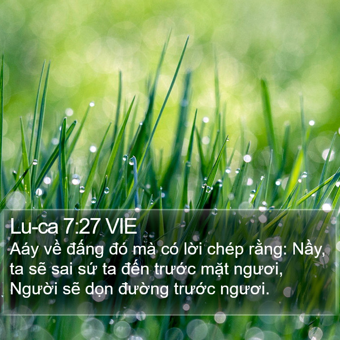 Lu-ca 7:27 VIE Bible Study