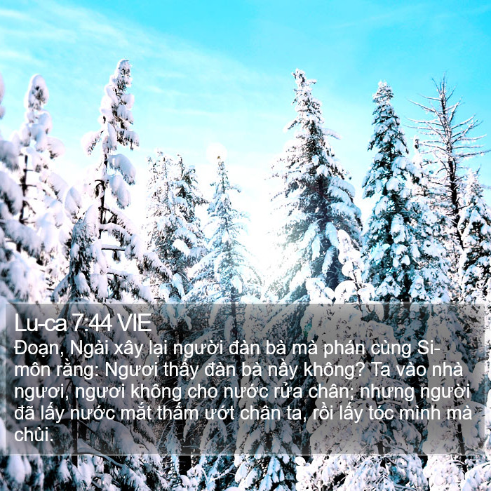 Lu-ca 7:44 VIE Bible Study