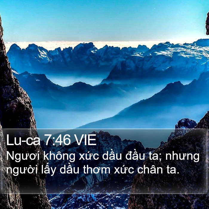 Lu-ca 7:46 VIE Bible Study