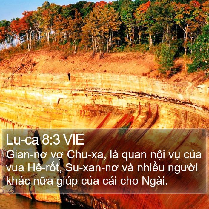 Lu-ca 8:3 VIE Bible Study