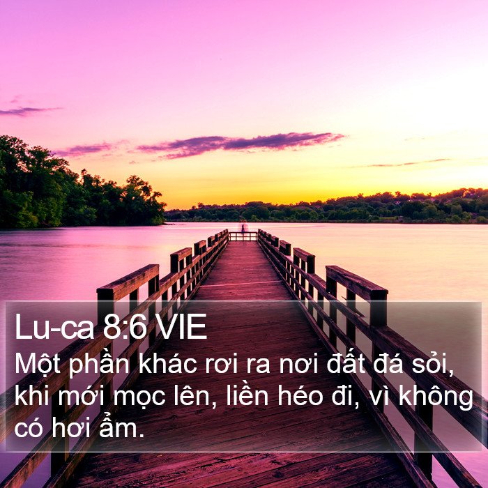 Lu-ca 8:6 VIE Bible Study