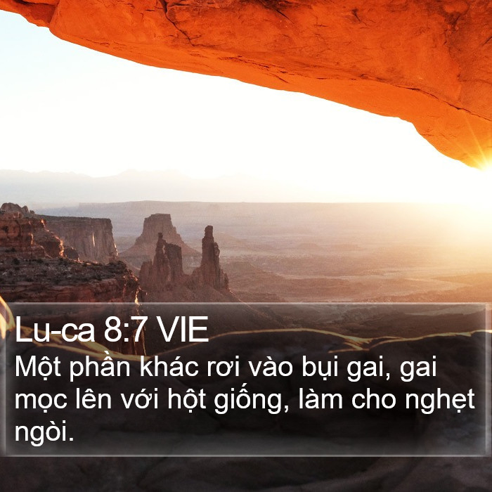 Lu-ca 8:7 VIE Bible Study