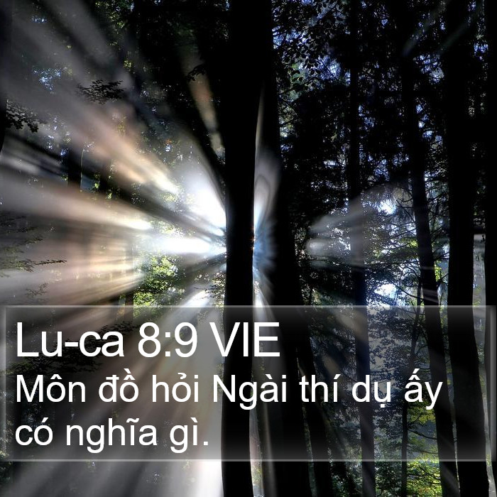 Lu-ca 8:9 VIE Bible Study